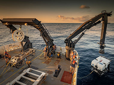 Image And Video Gallery: 2019 Southeastern U.S. Deep-sea Exploration ...