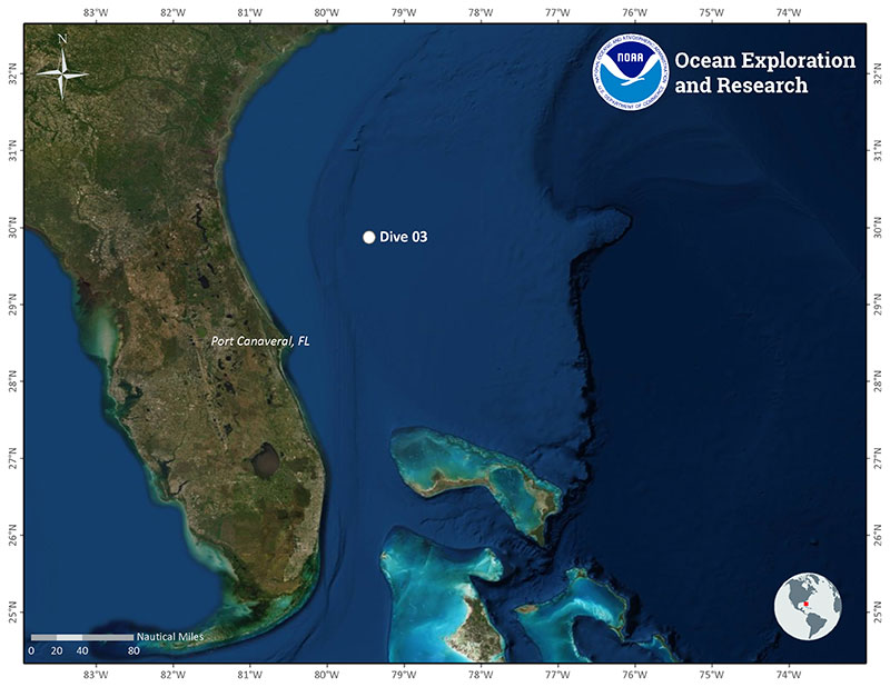 Location of Dive 03 of the 2019 Southeastern U.S. Deep-sea Exploration on November 3, 2019. 