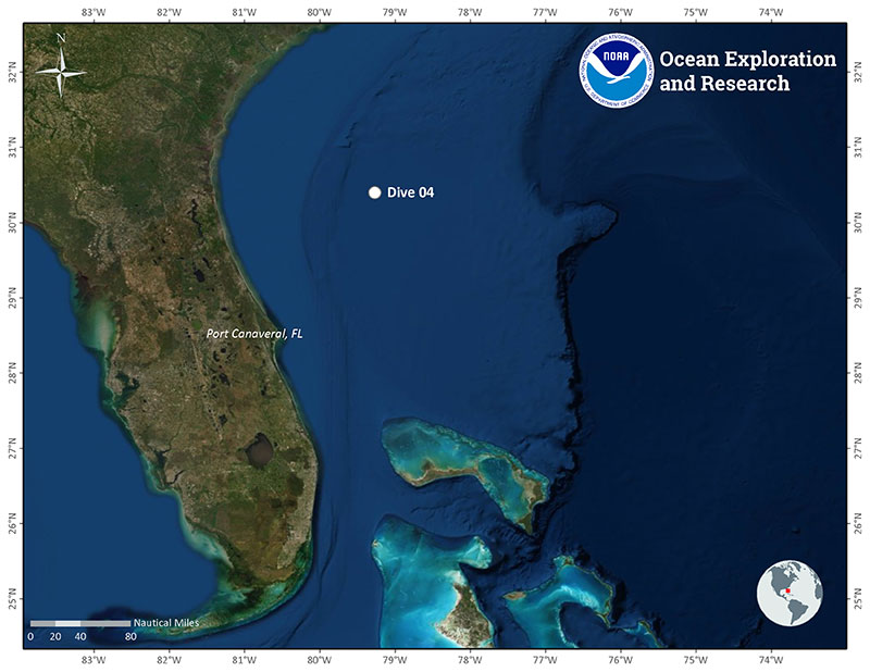 Location of Dive 04 of the 2019 Southeastern U.S. Deep-sea Exploration on November 4, 2019. 