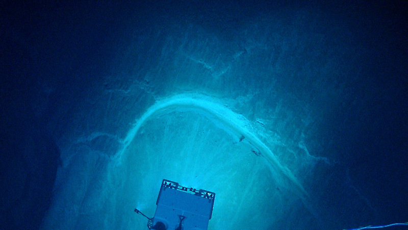 Here, the lights on Deep Discoverer shine on a spectacular bow-shaped, headwall scarp during Océano Profundo 2015: Exploring Puerto Rico’s Seamounts, Trenches, and Troughs expedition.
