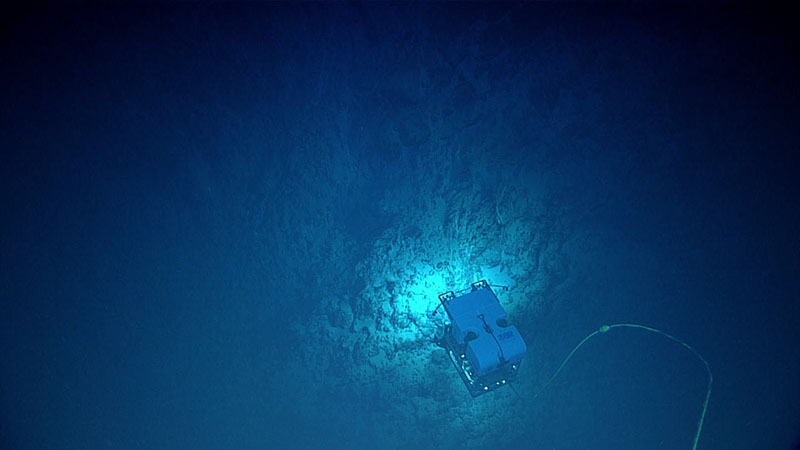 A mixture of pillow lava-like outcrops and blocky rock debris were seen for much of Dive 02 of the 2021 North Atlantic Stepping Stones expedition. In this image, remotely operated vehicle Deep Discoverer traverses over an apron of rock debris. Sediment cover here was thin and primarily limited to spaces between rocks, suggesting a geologically dynamic environment.