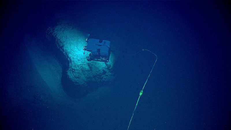 Prior to reaching the steepest section of the seventh dive of the 2021 North Atlantic Stepping Stones expedition, remotely operated vehicle Deep Discoverer traversed a large, seemingly intact block of the flank of “Corner Rise 1” Seamount.