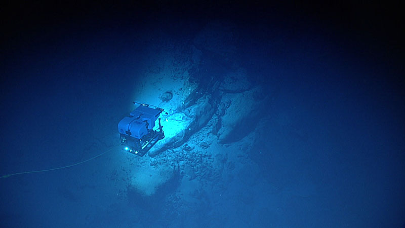 After landing on rippled sediment to start Dive 12 of the 2021 North Atlantic Stepping Stones expedition, the remotely operated vehicles moved towards a steep slope, along the way encountering a large boulder field that looked to be the result of mass wasting of igneous rocks from above. In many places, debris flow of rock cobbles and sediment chutes were evident. In this area of bouldered terrain, we observed black corals, as well as sparse, mostly dead bamboo corals.