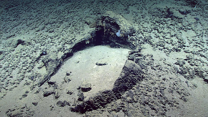 Progressing upslope from the landing area, we encountered a sediment-filled collapsed pillow, which was one of just a few “outcrops” on the broad low-relief pavement. This site yielded the only rock sample of Dive 14 of the 2021 North Atlantic Stepping Stones expedition.
