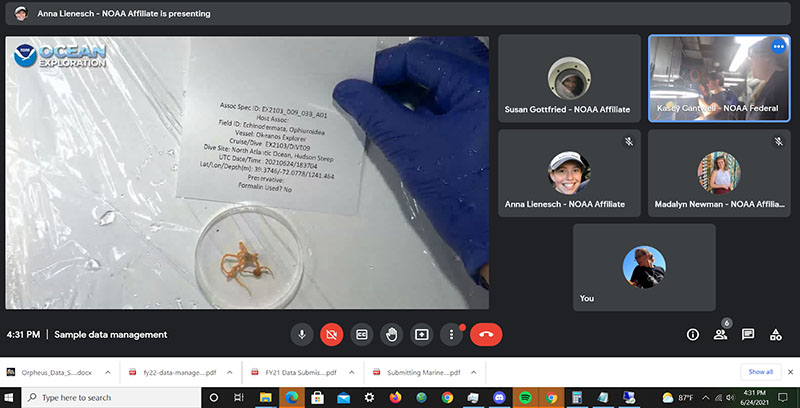 The onboard ship team works with the onshore data sample managers to process a small brittle star that was collected during Dive 09 of the 2021 ROV Shakedown.