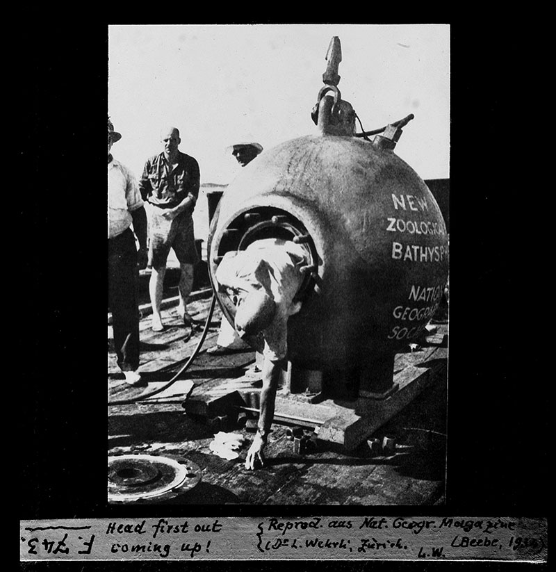 William Beebe exits his bathysphere—head first!—after a dive.