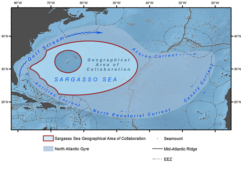 The Sargasso Sea, located entirely within the Atlantic Ocean, is the only sea without a land boundary, being instead defined by currents.