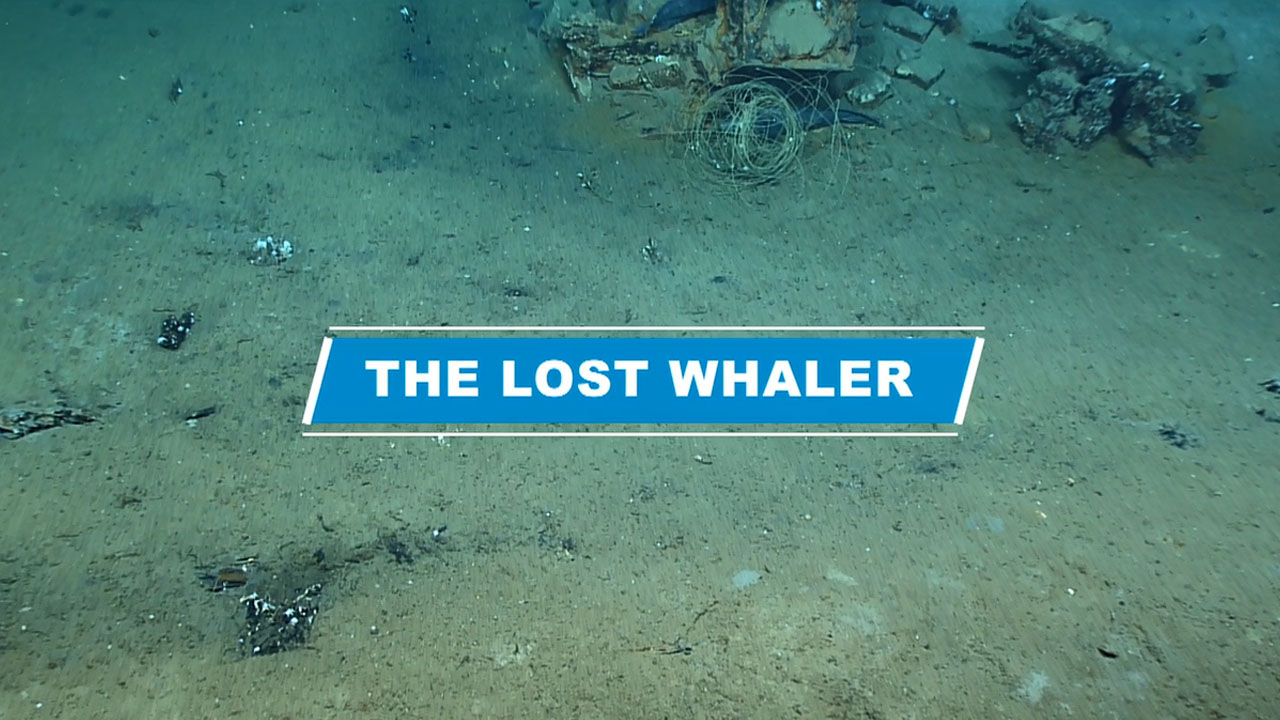 A Whaleship Lost in the Gulf - Archaeology Magazine