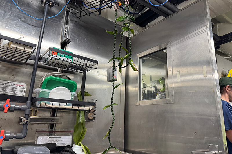 Image of a lei (left) that I made hanging to dry in the wet lab of the ship during the Beyond the Blue: Papahānaumokuākea Mapping 1 expedition.