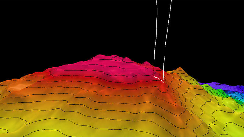 3D topographical map with colored gradient and contour lines.