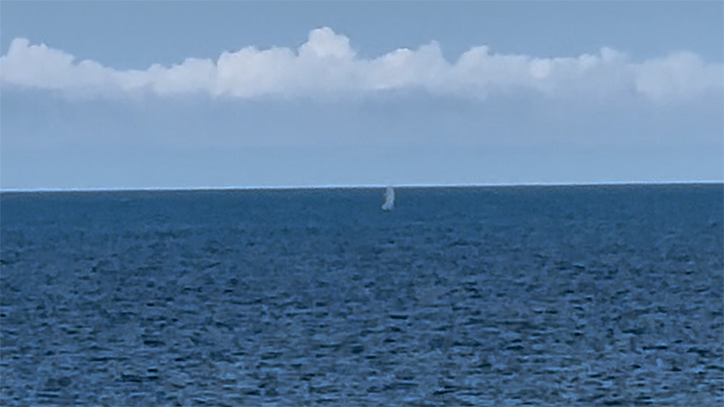 Spray from a whale in the distance, seen from NOAA Ship Okeanos Explorer during the Seascape Alaska 4: Gulf of Alaska Deepwater Mapping expedition.