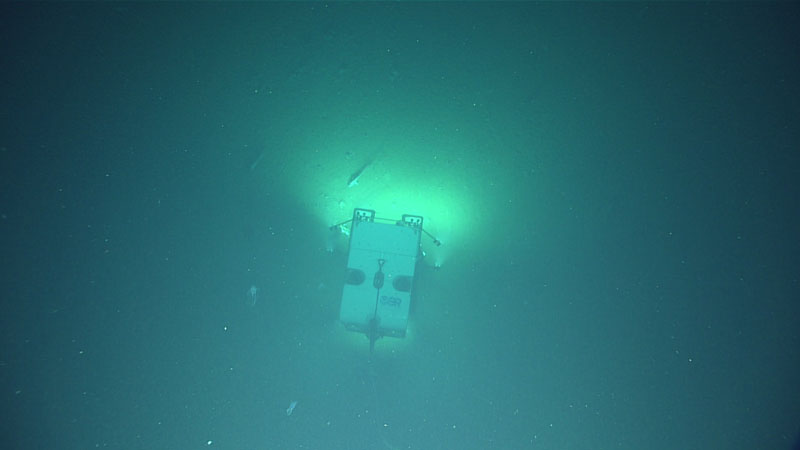 During the expedition, the team observed evidence of submarine landslides at a number of different scales and locations via remotely operated vehicle Deep Discoverer.