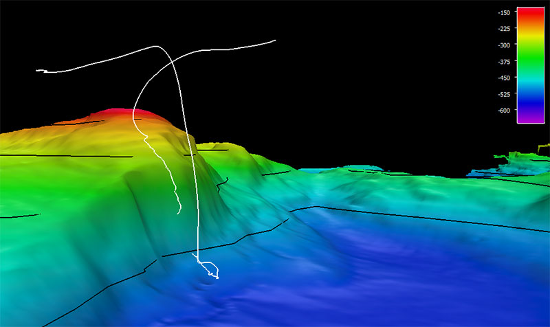 The dive track (white line) for Dive 09: Ernest Sound, of the Seascape Alaska 5: Gulf of Alaska Remotely Operated Vehicle Exploration expedition. Bathymetry shown at one-time exaggeration. Scale is water depth in meters.
