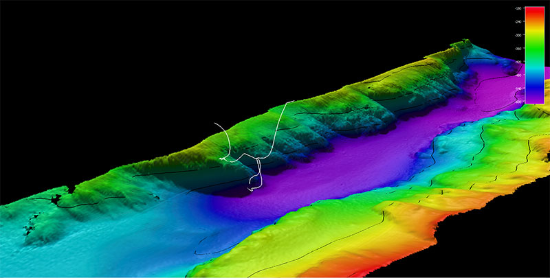 The dive track (white line) for Dive 10: Behm Canal, of the Seascape Alaska 5: Gulf of Alaska Remotely Operated Vehicle Exploration expedition. Bathymetry shown at one-time exaggeration; 100 meter contours. Scale is water depth in meters.