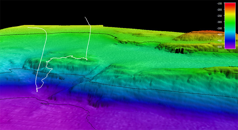 The dive track (white line) for Dive 11: Cordova Bay, of the Seascape Alaska 5: Gulf of Alaska Remotely Operated Vehicle Exploration expedition. Bathymetry shown at one-time exaggeration; 100 meter contours. Scale is water depth in meters.