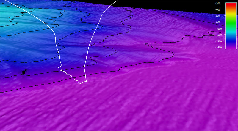 The dive track (white line) for Dive 12 of the Seascape Alaska 5: Gulf of Alaska Remotely Operated Vehicle Exploration expedition. Bathymetry shown at one-time exaggeration; 100 meter contours. Scale is water depth in meters.