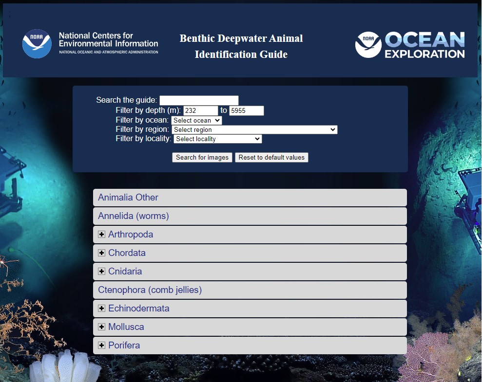Benthic Deepwater Animal Identification Guide user interface.