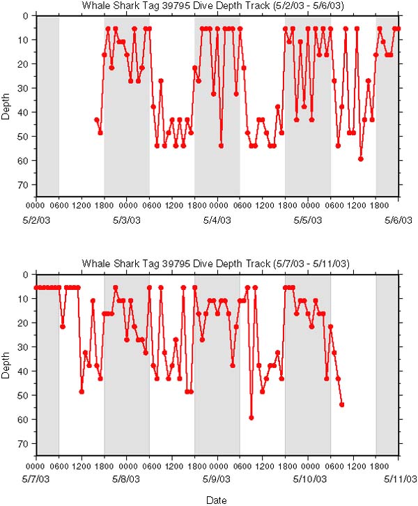 Whaleshark data