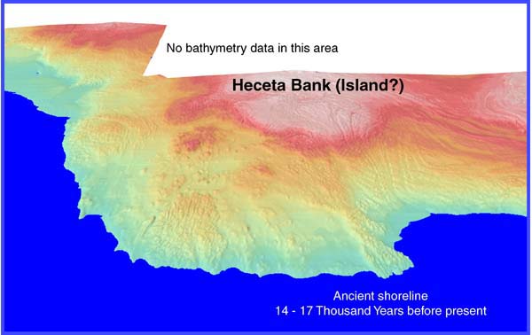 possible ancient shoreline at Heceta Bank