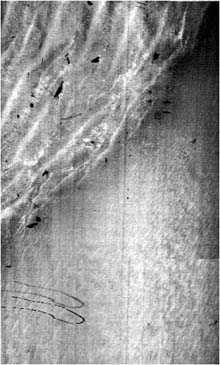 laser line image of sand waves and seafloor