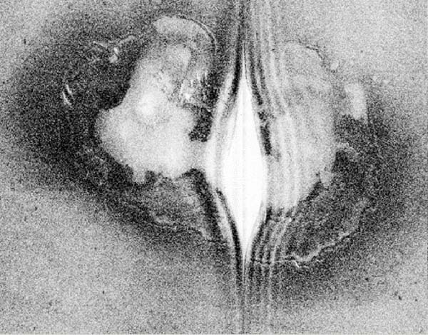 sidescan sonar image of a sinkhole