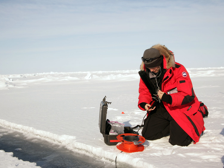 Acoustic recordings of narwhals and other marine mammals were taken during the Tracking Narwhals in Greenland expedition, 2006-7.