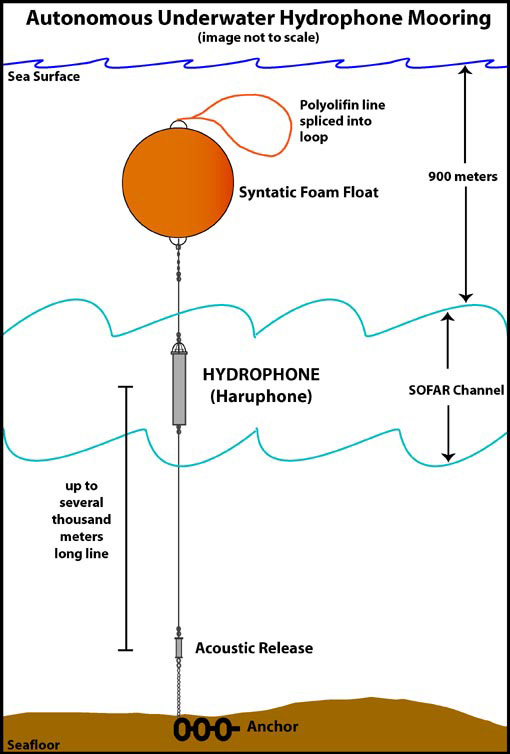 Diagram of the Autonomous Underwater Hydrophone (AUH) mooring. The schematic is not to scale, but does show the main mooring components and their locations in the water column.
