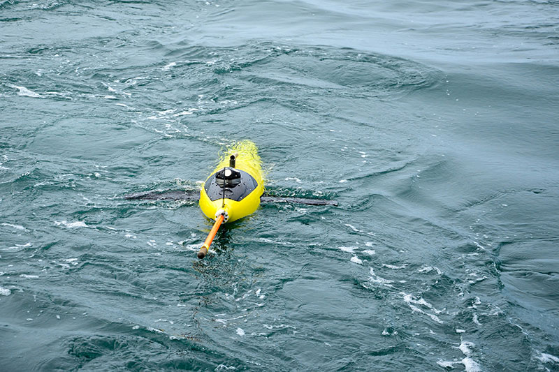 Seaglider is deployed in the waters offshore La Push, Washington. Its orange antenna allows it to communicate with on-shore scientists each time it breaks the surface. After a dive, Seaglider communicates with satellites and sends a text message to the researchers’ phones, letting them know it will be transmitting data and giving them a status check on the glider’s health!