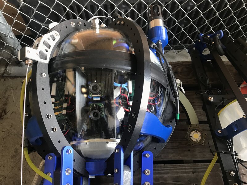 The View From Inside the Scattering Layer: Exploring Migrating Deep sea