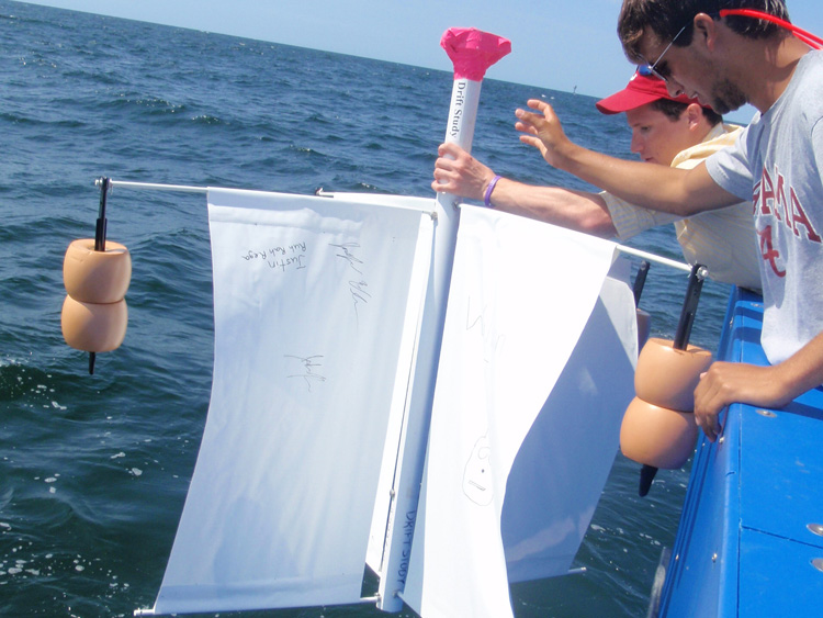 Students from the Dauphin Island Sea Lab in Alabama deploy a surface drifter into the Gulf of Mexico.
