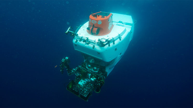  Alvin, qui est exploité par l'Institution océanographique de Woods Hole, est en activité depuis 1964. Le véhicule occupé par l'homme est capable d'atteindre des profondeurs de 4 500 mètres, transportant deux scientifiques et un pilote pour chaque plongée. Image reproduite avec l'aimable autorisation de Luis Lamar, Institution océanographique de Woods Hole. 