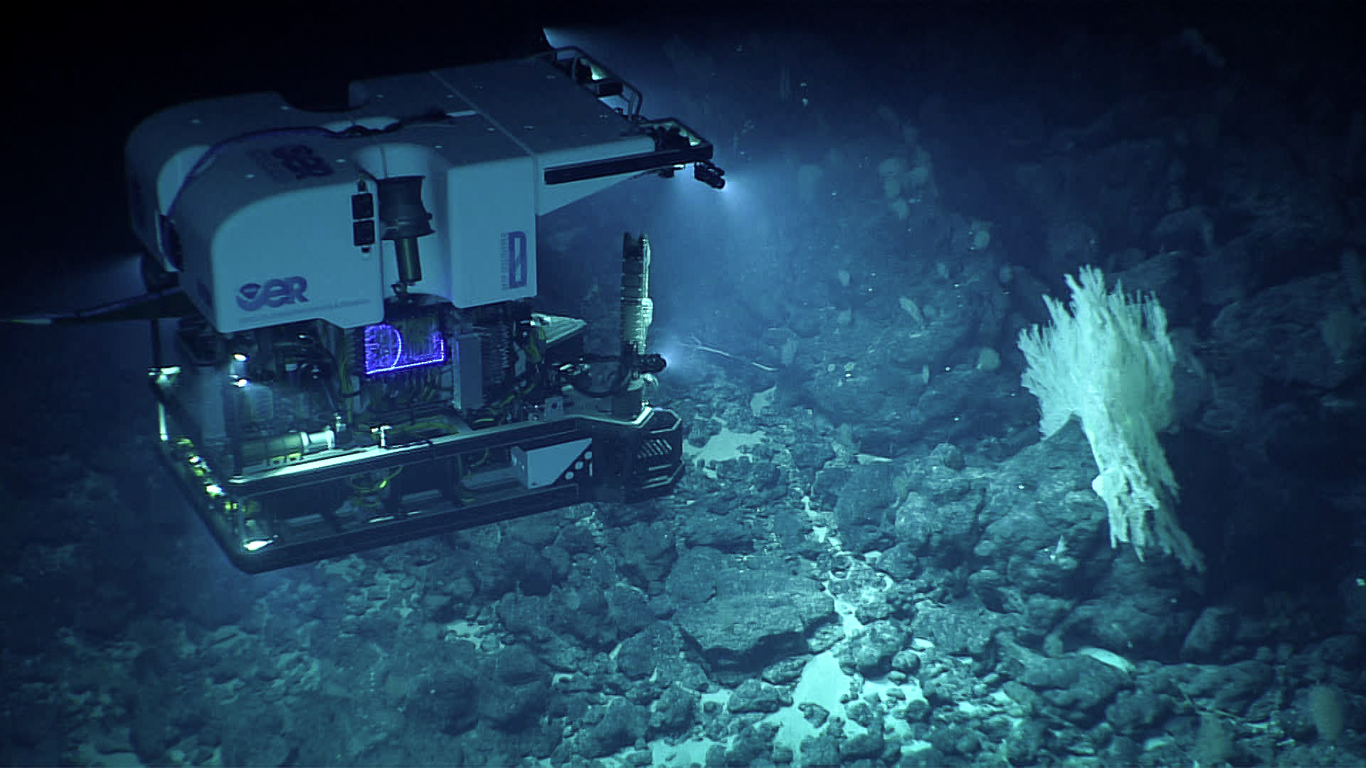 Diving Deep: Using Machines to Explore the Ocean