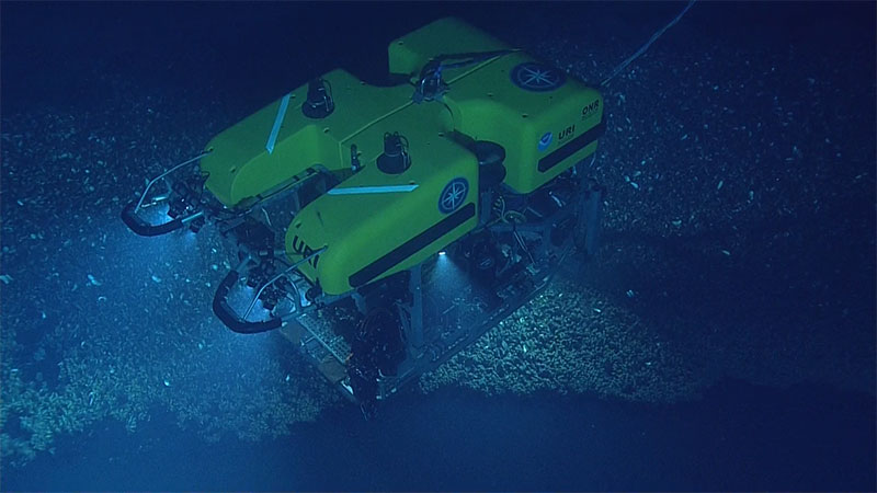 Tethered remotely operated vehicle Hercules explores the ocean floor through use of LED lights and video cameras along the front of the vehicle.