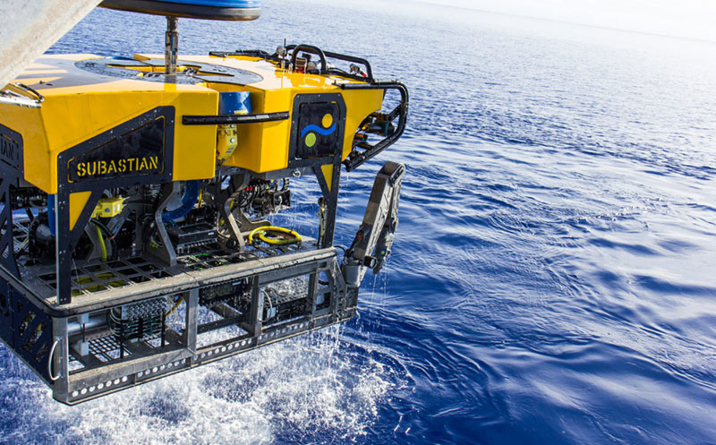 ROV SuBastian. Image courtesy of Schmidt Ocean Institute.