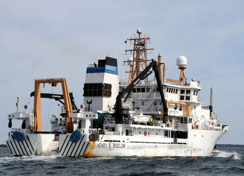 Henry B. Bigelow heads in to port in Woods Hole, Massachusetts. Image courtesy of Jayne Doucette, WHOI.