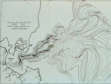 Trincomalee Canyon, Sri Lanka surveyed by Pioneer Survey made during the International Indian Ocean Expedition, 1964. Trincomalee Canyon, Sri Lanka surveyed by Pioneer Survey made during the International Indian Ocean Expedition, 1964.