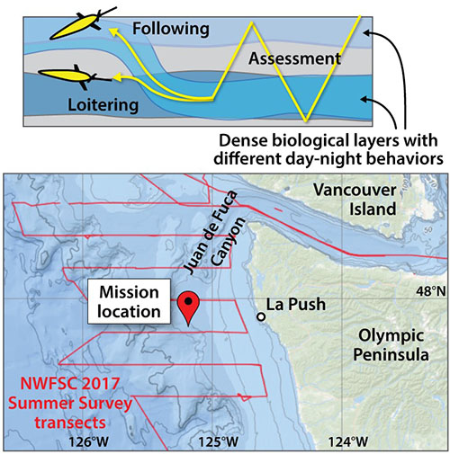 Overview of the field testing plan. (A) A Seaglider will sample dense biological layers first in typical down-up dives and then be commanded to follow the layers for targeted data collection in loitering dives. (B) The field work region right off the shelf break offshore the Washington coast. Overview of the field testing plan. (A) A Seaglider will sample dense biological layers first in typical down-up dives and then be commanded to follow the layers for targeted data collection in loitering dives. (B) The field work region right off the shelf break offshore the Washington coast.