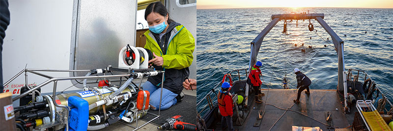 (Left) Research assistant Linda Nguyen attaches an acoustic Doppler current profiler (ADCP) to the CTD (conductivity, temperature, and depth). This ADCP will be used to collect acoustic backscatter data on the small organisms in the water column. (Right) The CTD is recovered using Research Vessel Robertson&rsquo;s winch system as curious black-footed albatrosses watch from the water.