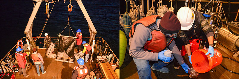(Left) The team prepares the zooplankton tow net at dusk. Each night, zooplankton migrate to the water&rsquo;s surface to feed on phytoplankton, making dusk the perfect time to use nets to collect samples. This is often referred to as &ldquo;the greatest migration on Earth&rdquo; as it happens in all ocean basins around the world. (Right) The zooplankton from the nets are collected in jars to be analyzed later under microscopes.