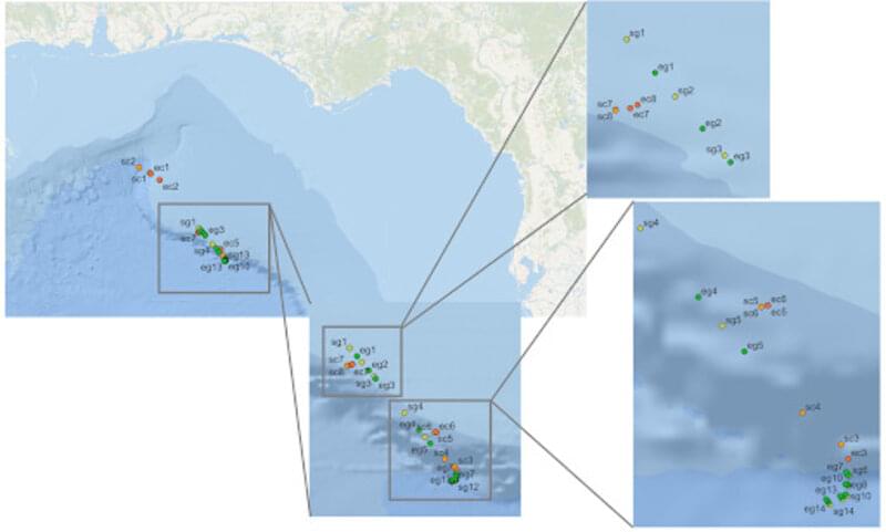 Figure 2. Map illustrating the deployments of both the Driftcams and Slocum Glider in the Gulf of Mexico from July 27-31, 2021. Labels &ldquo;SC&rdquo; and &ldquo;SG&rdquo; represent the start of Driftcam and Glider deployment, respectively. &ldquo;EC&rdquo; and &ldquo;EG&rdquo; represent the end of deployment for Driftcam and Glider, respectively.