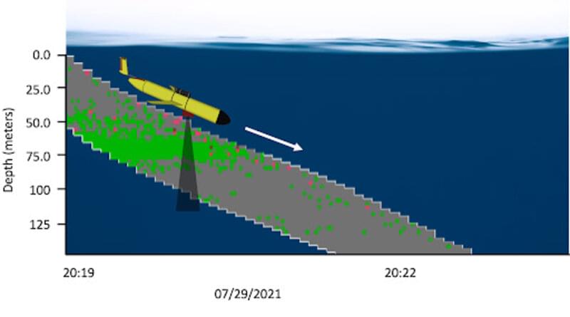 Figure 6. A &ldquo;pseudogram,&rdquo; a coarse echogram generated by the glider, highlights the scattering layer that the glider encountered between 50-80 meters (164-262 feet) depth. Green corresponds to stronger sound scattering, grey areas indicate the part of the water column where the glider did not detect any scattering during its descent. When the glider surfaces, it transmits this &ldquo;pseudogram&rdquo; via satellite to researchers to help determine where the scattering layers are. At the end of a mission the glider is retrieved and the high-resolution raw data can be downloaded.