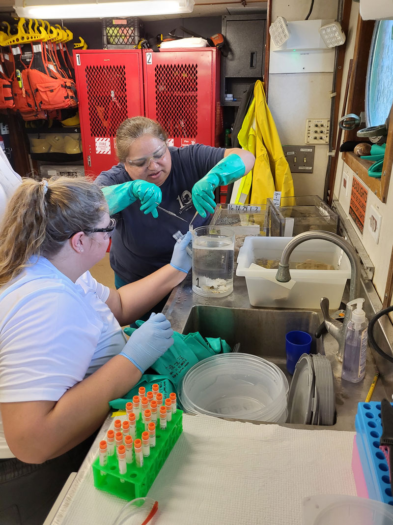 Esther Guzm&aacute;n and Kirstie Francis process a sample in the wet lab on Research Vessel F.G. Walton Smith during Exploration of Deepwater Habitats off Puerto Rico and the U.S. Virgin Islands for Biotechnology Potential.
